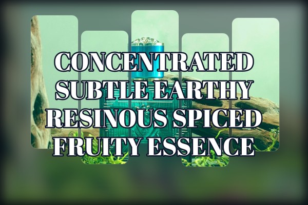 Concentrated subtle earthy resinous spiced fruity essence