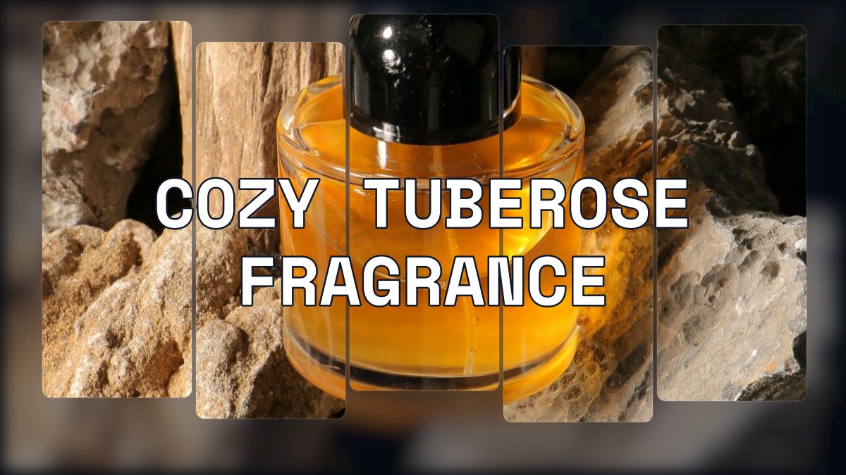 cozy tuberose fragrance