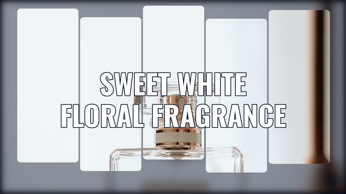 sweet white floral fragrance